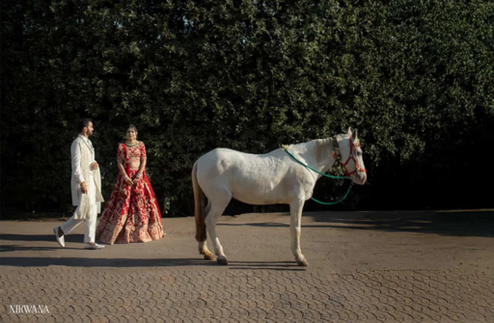Weddings & Pre-Wedding Shoot